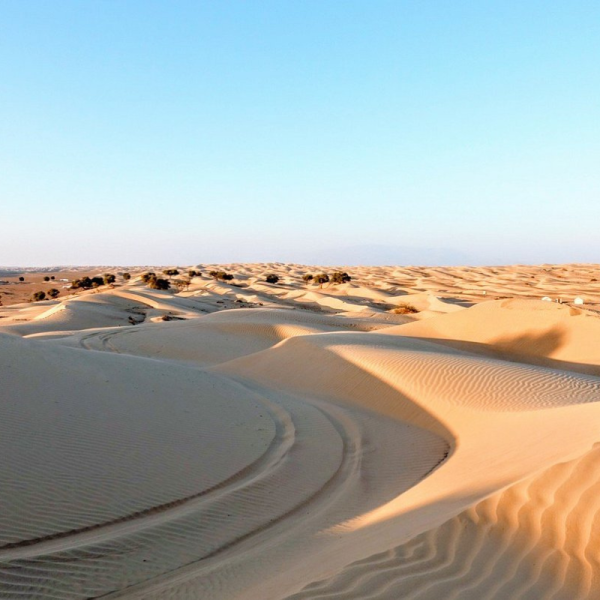 whaba sand