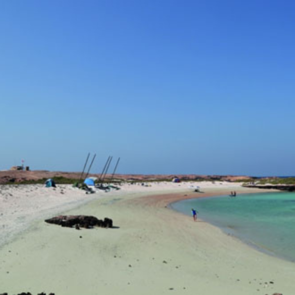 جزر الديمانيات