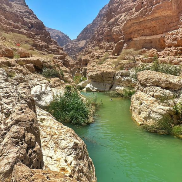 وادي شاب